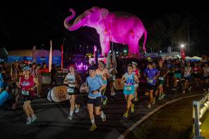 BIB: 
                            <button type="button" onclick="openModal(26552328)" class="btn btn-primary btn-sm float-right btn-popup" data-toggle="modal" data-target=".modal-high-quality">
                        <i class="fas fa-shopping-cart"></i> Add to Cart
                    </button>
                                            <button type="button" onclick="isThisMe(26552328, true)" class="btn btn-success btn-sm float-right btn-popup btn-isme hidden" data-toggle="tooltip" data-placement="bottom" title="นี่คือรูปของคุณใช่ไหม คลิกที่นี่เพื่อเอาเข้าอัลบั้ม">
                        <i class="fas fa-plus"></i> Add to album
                    </button>
                    <button type="button" onclick="isThisMe(26552328, false)" class="btn btn-warning btn-sm float-right btn-popup btn-isnotme hidden">
                        <i class="fas fa-ban"></i> Remove from album
                    </button>